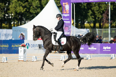 Para Dressage
Grade V
Keywords: calique V;stine skillebekk;cp