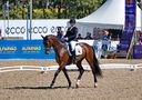 Filename=PT9_1027.jpg
Filesize=5457KiB
Dimensions=3234x2281
Date added=Aug 12, 2022 PT9_1027.jpg