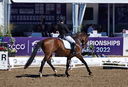 Filename=PT9_1034.jpg
Filesize=6583KiB
Dimensions=3759x2558
Date added=Aug 12, 2022 PT9_1034.jpg