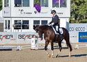 Filename=PT9_1424.jpg
Filesize=7942KiB
Dimensions=3597x2580
Date added=Aug 12, 2022 PT9_1424.jpg