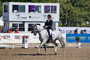 Filename=PT9_2054.jpg
Filesize=10483KiB
Dimensions=4625x3110
Date added=Aug 13, 2022 PT9_2054.jpg