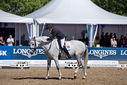 Filename=PT9_2078.jpg
Filesize=9377KiB
Dimensions=4500x3004
Date added=Aug 13, 2022 PT9_2078.jpg