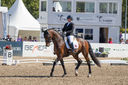 Filename=_DSC0146.jpg
Filesize=2138KiB
Dimensions=4999x3324
Date added=Aug 10, 2022 _DSC0146.jpg