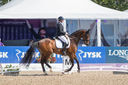 Filename=_DSC0234.jpg
Filesize=1975KiB
Dimensions=4999x3324
Date added=Aug 10, 2022 _DSC0234.jpg