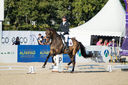 Filename=_DSC0352.jpg
Filesize=1931KiB
Dimensions=4999x3324
Date added=Aug 12, 2022 _DSC0352.jpg