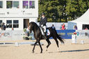 Filename=_DSC0395.jpg
Filesize=1876KiB
Dimensions=4999x3324
Date added=Aug 12, 2022 _DSC0395.jpg